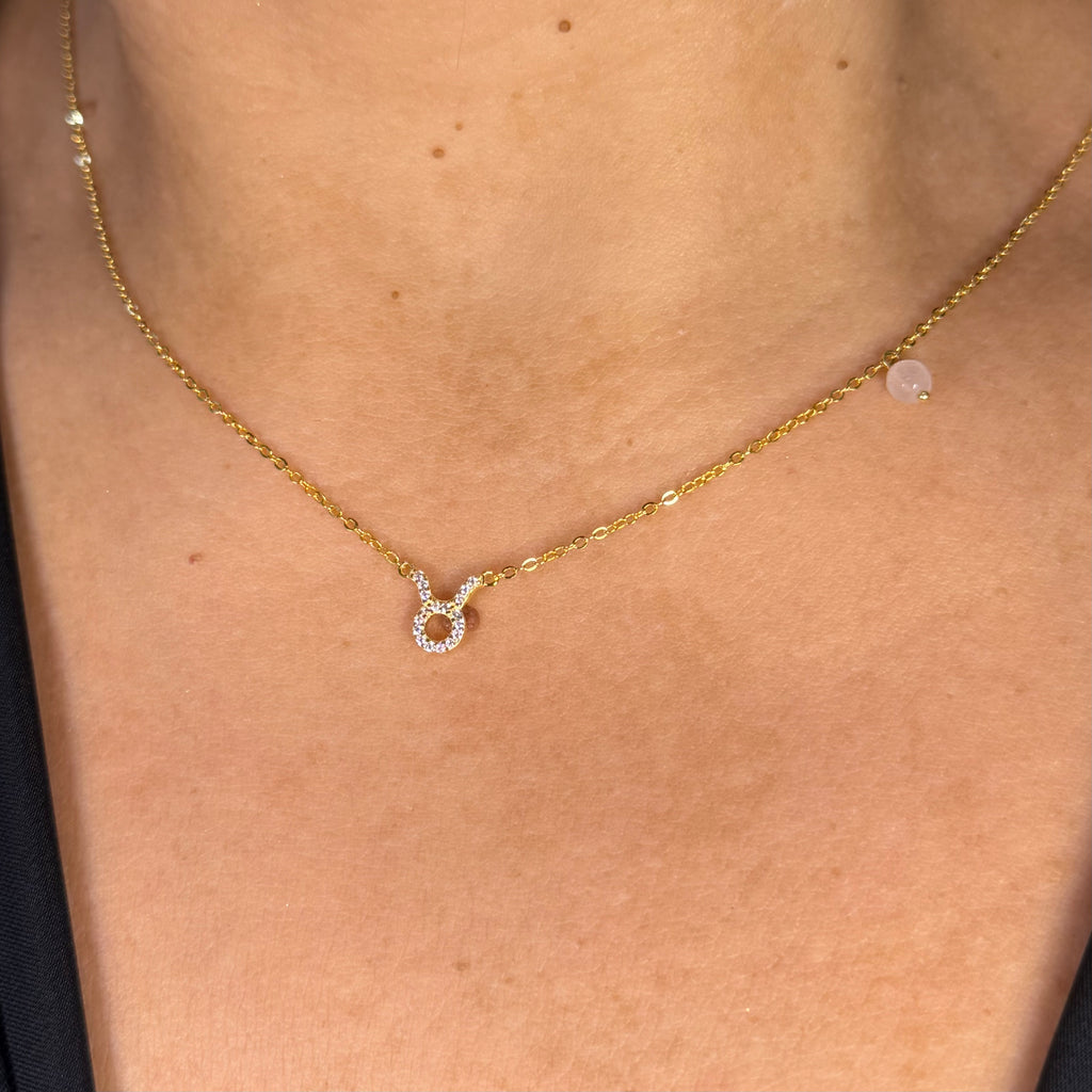 Collana Segni Zodiacali